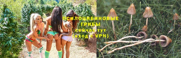 твердый Волоколамск